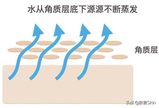 dior值得入的几款口红,dior口红哪款最受欢迎