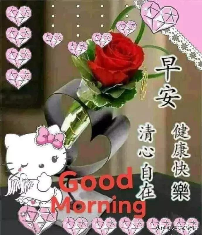 朋友圈最美早上好问候祝福语,最新早上好暖心祝福问候语句简短