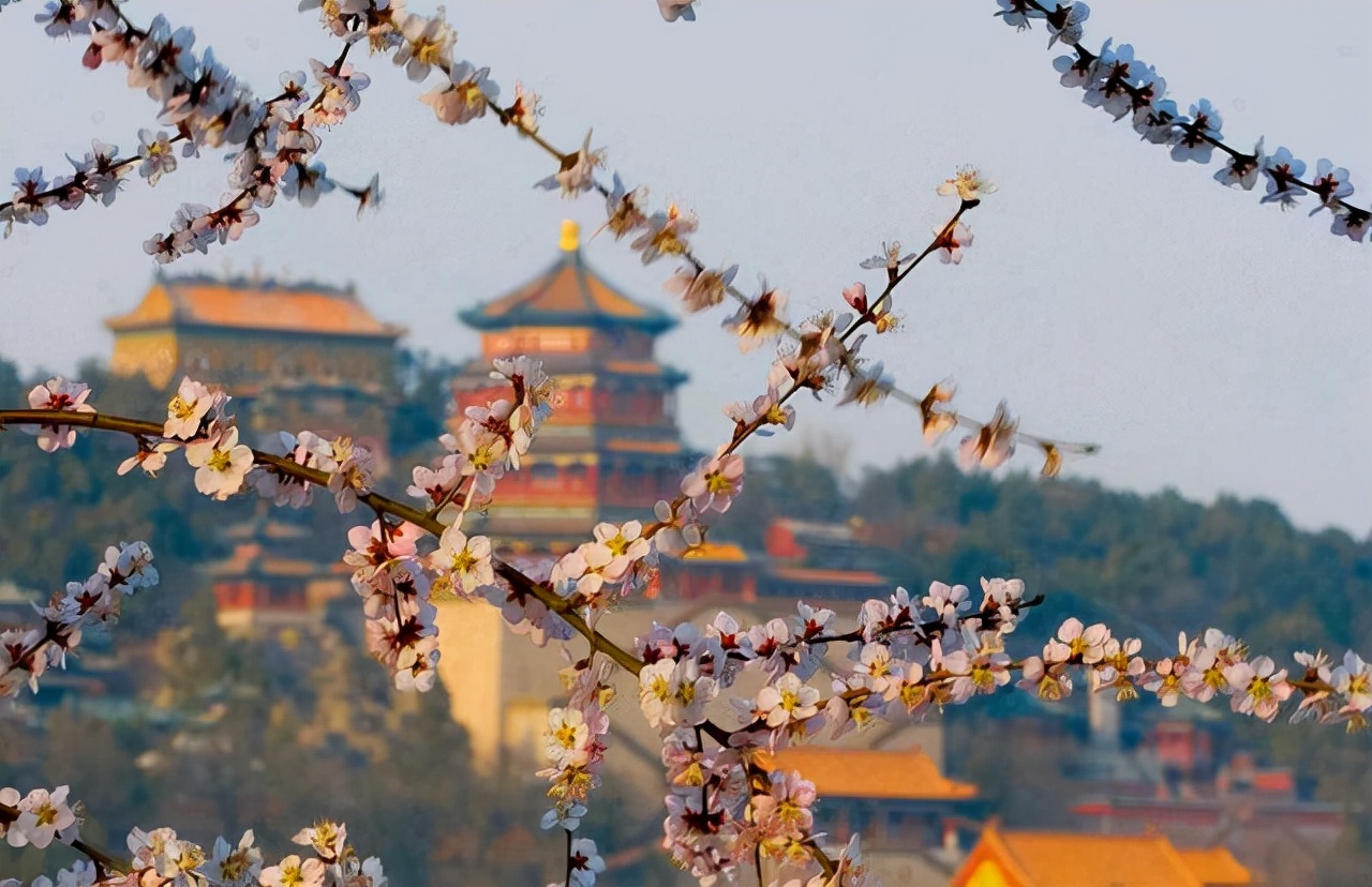 内部审计应该分析哪些财务数据,审计基础与实务银行存款审计