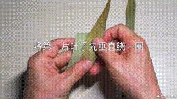 剩下的粽叶怎么做,剩下的粽叶如何收藏