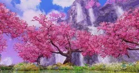 青秀山团建位置,广西团建三日两夜地方推荐