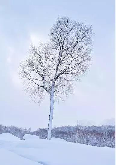上海雪乡五日游攻略,日本雪乡一日游多少钱