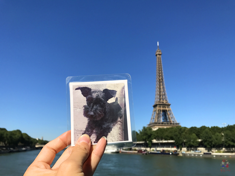 塞纳河左岸和右岸的区别,塞纳河和左岸