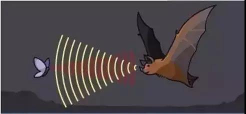 阴超和妇科超声,腹超阴超