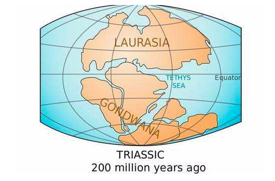 沈树忠简介,沈树忠浙江讲座
