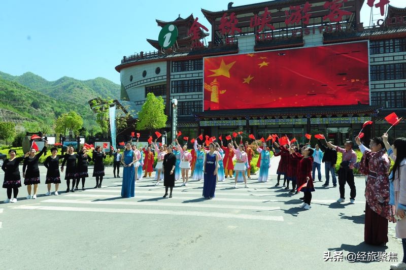 金丝峡兰花节完整视频,金丝峡兰花节