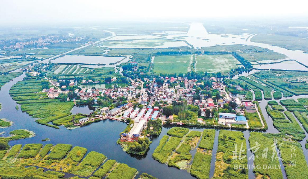 白洋淀被称为华北之肾的主要原因,白洋淀华北之肾