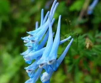 中国诗歌周刊第24集,中国诗歌第1266期完整版