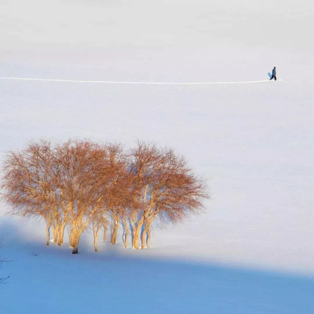 许昌大雪最新消息,许昌大雪