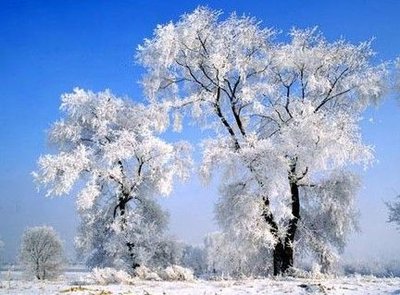 2021吉林高校排名,吉林各大高校地位