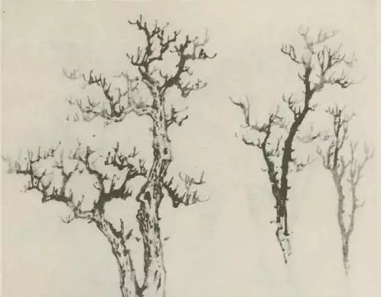 怎样画树画得好看,怎么画树最简单而且还最好看