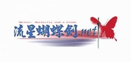 追忆网吧年华：如流星般璀璨而短暂的《流星蝴蝶剑.net》