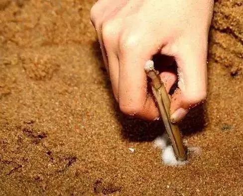 秦皇岛赶海拾贝地址免费,北海赶海挖螃蟹方法