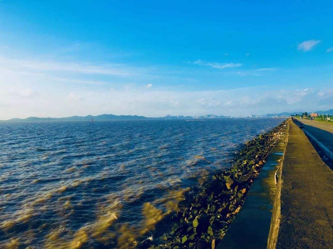 开往春天的广东列车,开往春天的列车是开往哪的