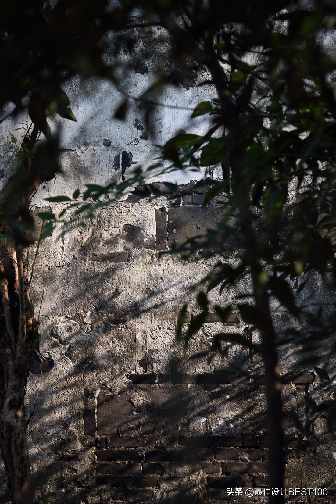 新作|住在江南水乡最美的一幅画卷里xSSTDesign