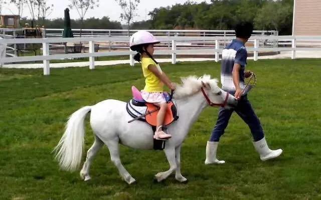 大连铭湖牧场和三寰牧场区别,大连铭湖牧场现在草绿了么