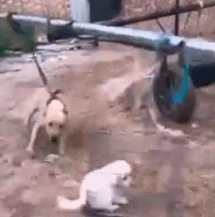 如何享受生活快乐,如何享受生活的滋味