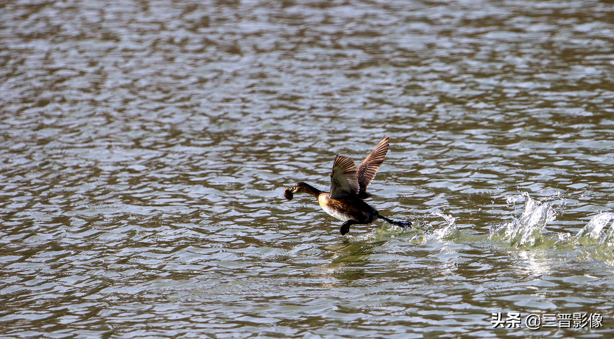 佳能r5转接佳能ef50l拍摄的作品,佳能r5转接ef镜头感觉没有5d4清晰