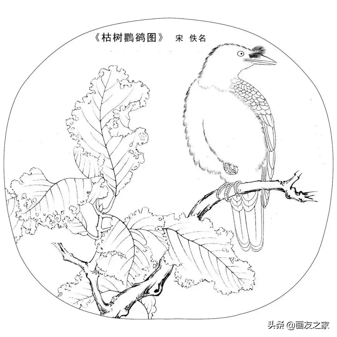 宋花鸟工笔画高清大图临摹过程,宋画工笔画花卉上色教程
