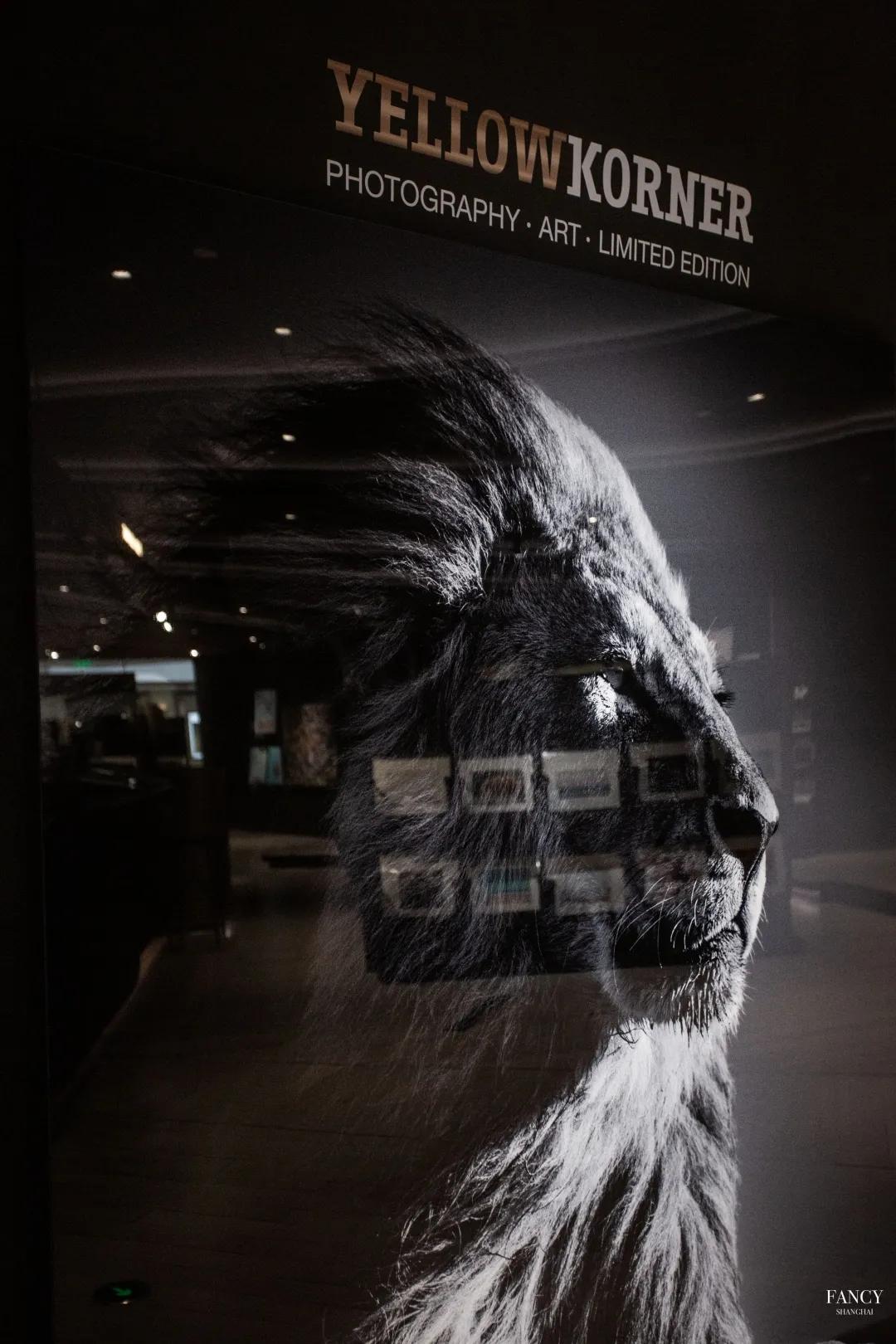 鍏ㄤ笘鐣屾渶澶х殑鐢诲粖,yellowkorner鍏翠笟澶彜姹囧簵