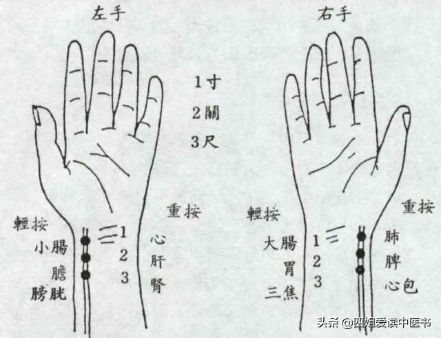 中医知识每日一读,伤寒太阴病的辨证论治