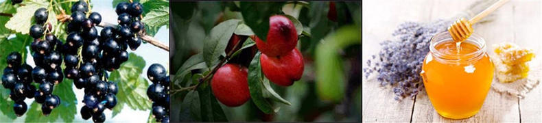 5款好闻到炸裂的香水,六款一定要买的香水香水控必入