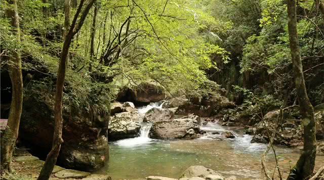 浙江有哪些有瀑布的旅游景点,浙江旅游景点推荐瀑布