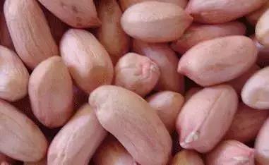 幼儿园玩沙安全事项,2岁宝宝要玩沙要阻止吗