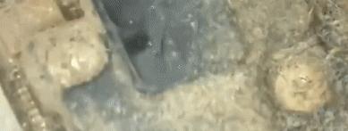 你的手机干净么,手机脏了正确清理方法