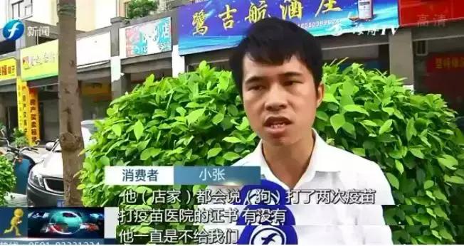 宠物狗买回来过几天病死怎么维权,厦门宠物店