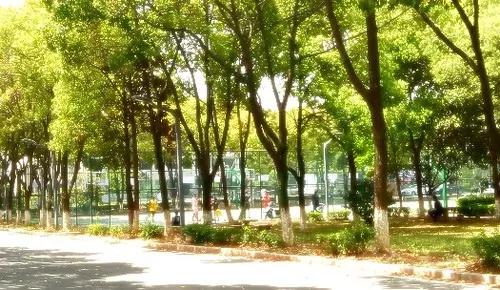 涓滃崡澶у鎴愯搐瀛﹂櫌,涓滃崡澶у鎴愯搐瀛﹂櫌鐧剧