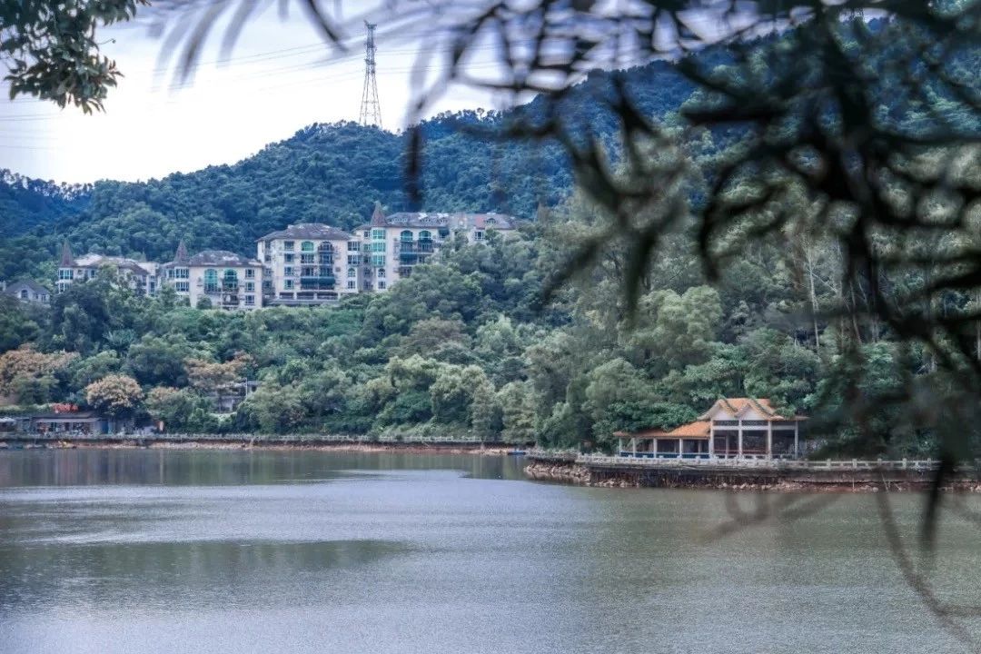 深圳游玩最佳地点排行榜前十名,深圳适合小孩游玩最佳地方推荐