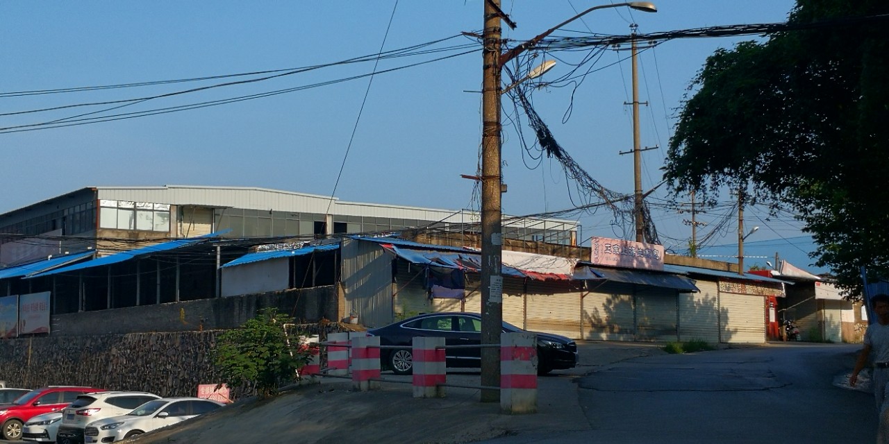 童年的时光还在马背上歌词,童年的时光