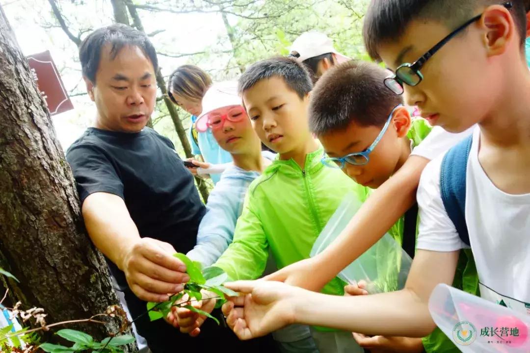 保护朱鹮,朱鹮自然保护区有利条件