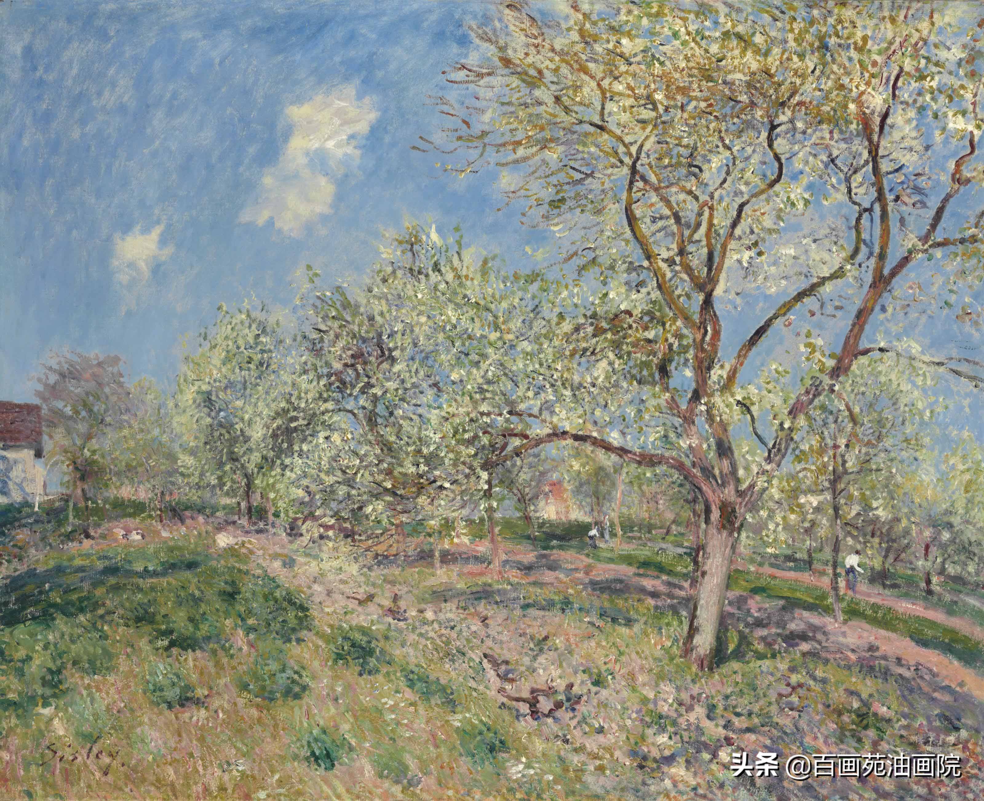 油画山水中的云怎么画,油画晚云的画法