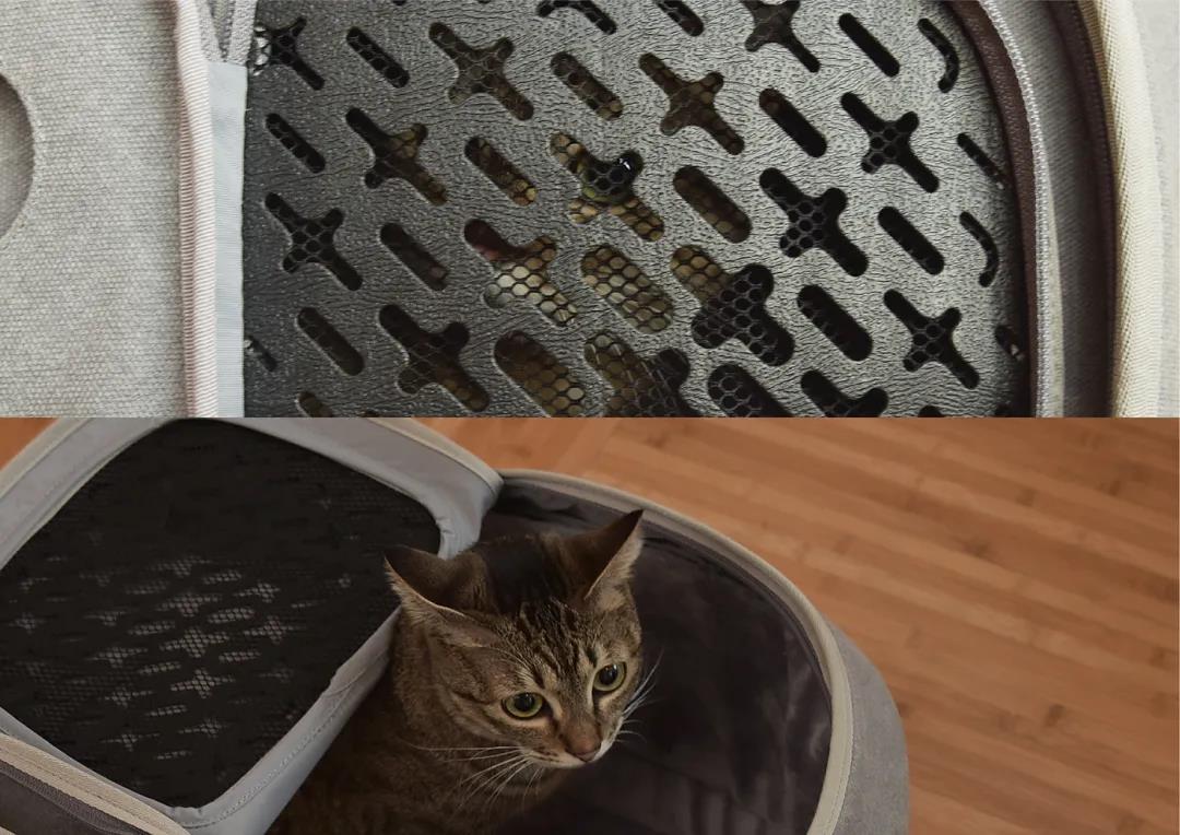 未来5年宠物智能产品,宠物产品logo设计