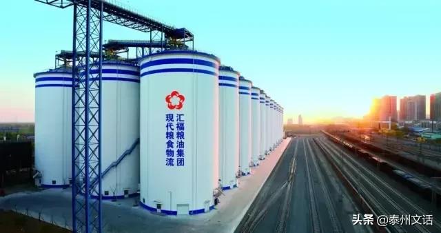 汇福粮油食品加工产业基地项目,汇福粮油集团董事长泰州