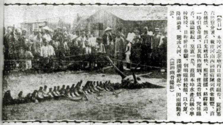 了解一座城历史,中国大陆唯一可观夕阳坠海的城市