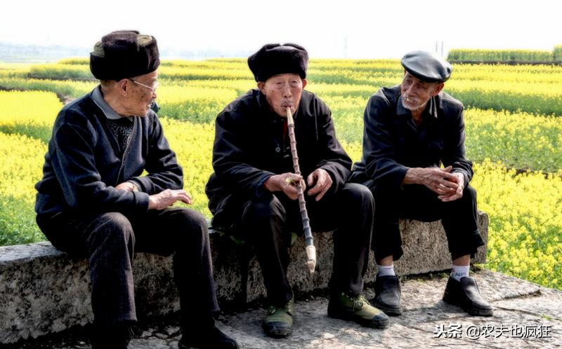 民间灶马头说年景：猪年到了，19年是几龙治水、几牛耕田？