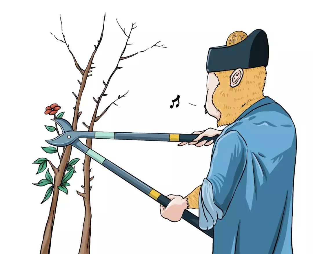 孙悟空为什么能识破菩提玄机,孙悟空三次泄露菩提身份