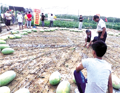 让居民望得见山阅读答案,让人民看得见山望得见水