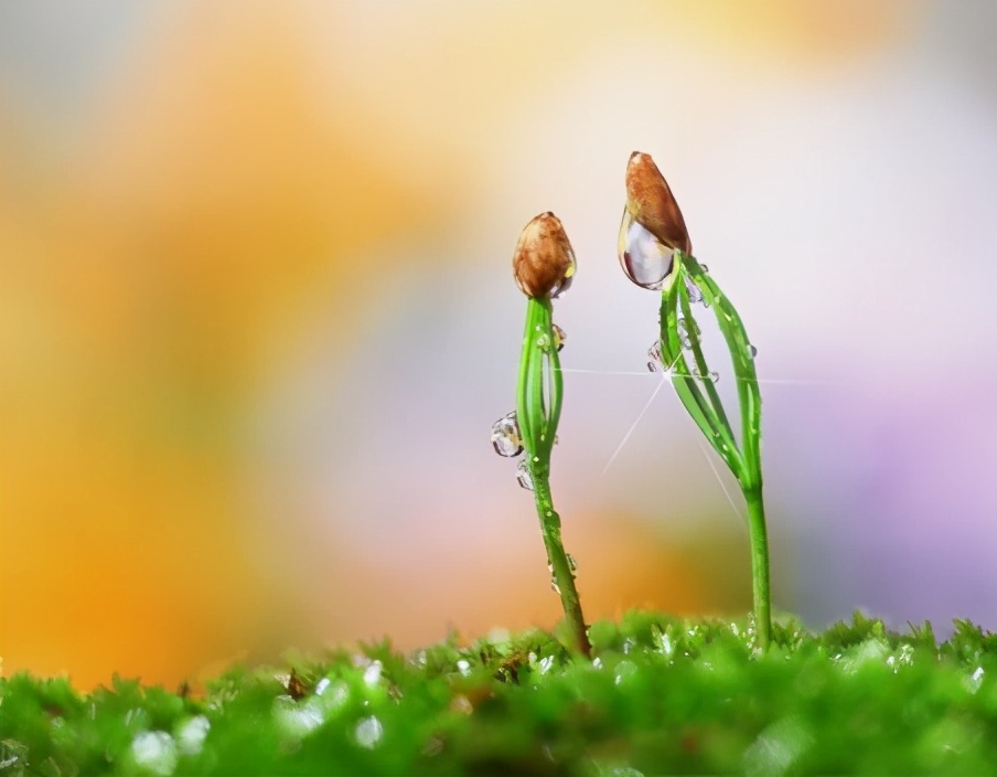 中医针灸学基础课程视频,零基础学针灸基础治疗篇6