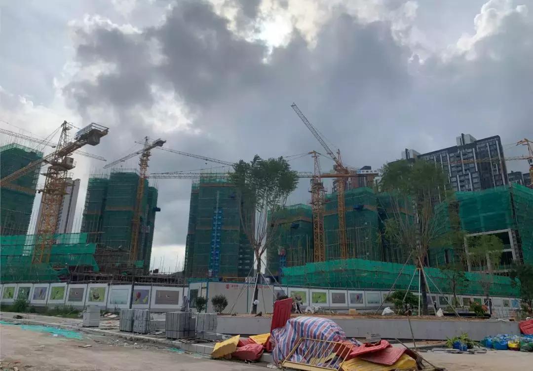 后红山时代,深圳龙华红山和上塘