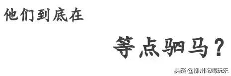 鎵嬩綔闃垮楗搧,闃垮鎵嬩綔鍐棩楗搧鎺ㄨ崘