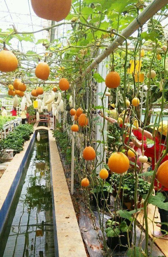 昆明必去的9个烧烤,昆明周边十个烧烤胜地