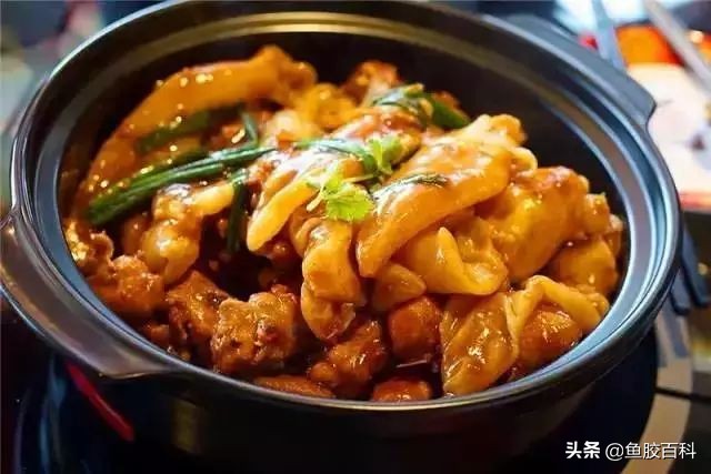 分享一款适合夏季的鱼胶做法,鱼胶怎么做不腥又好