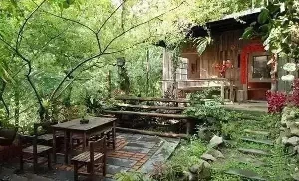 花开时节留住美好的小院时光,在这个春暖花开的浪漫季节里