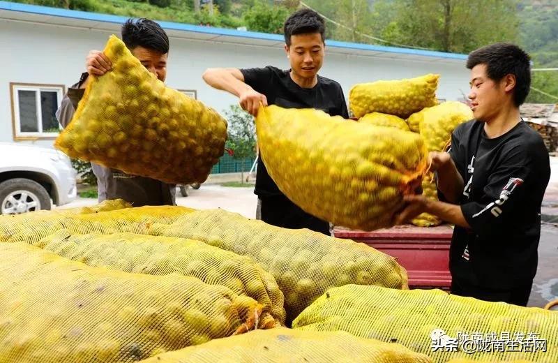 我叫成县，这是我2019年的自拍照