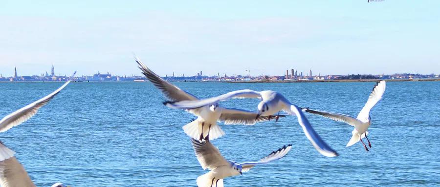 10月底成都出发特价机票,10月8日的特价机票价格