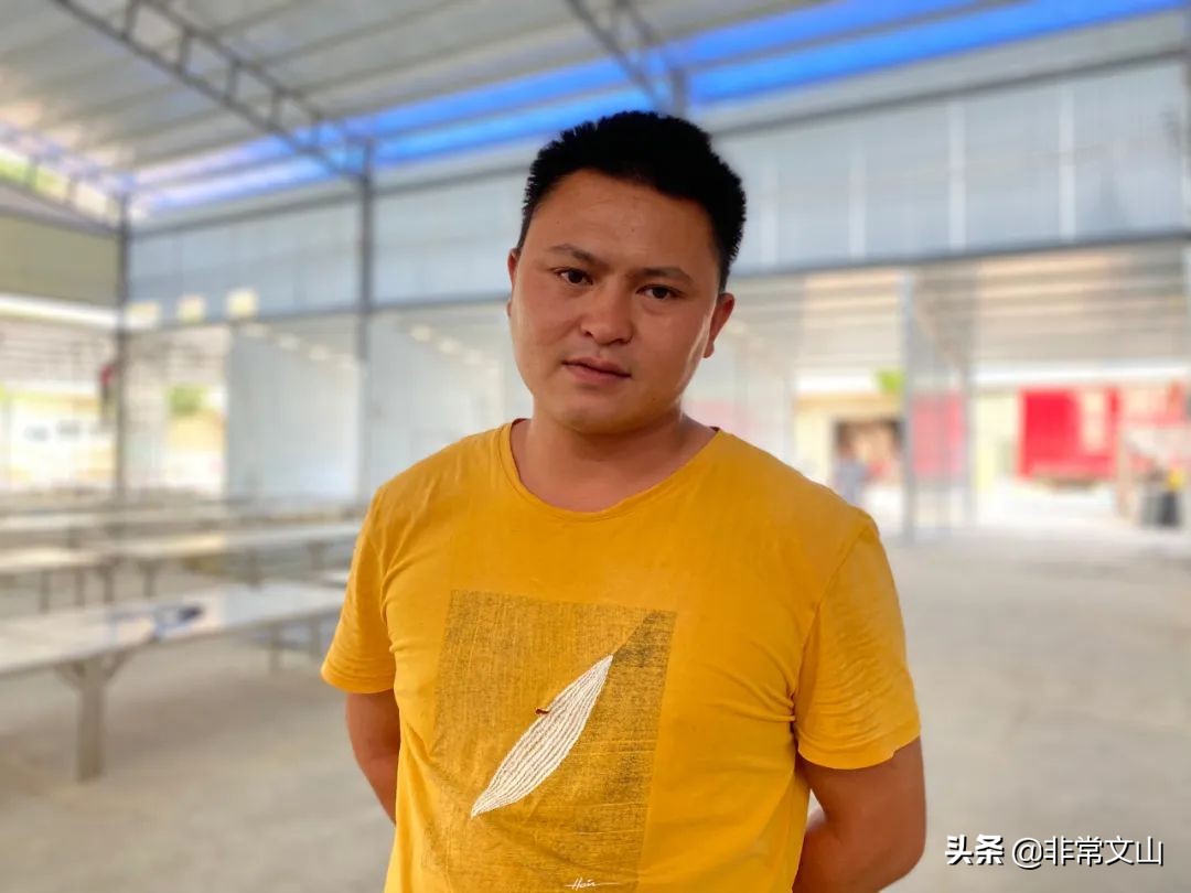 文山有松茸菌吗,野生菌新鲜松茸上市